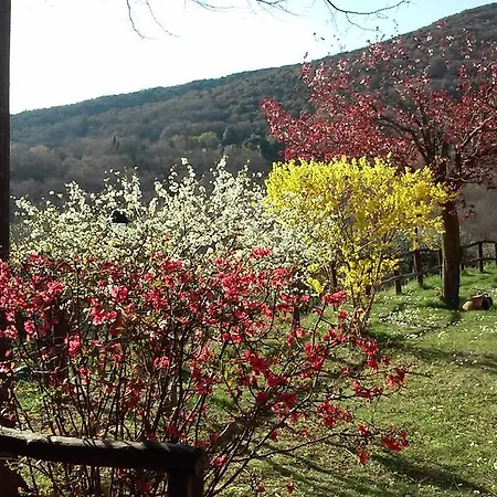 Casa Il Leccino * Passignano sul Trasimeno