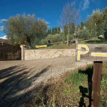 Casa Il Leccino Apartment