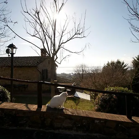 Appartamento Casa Il Leccino